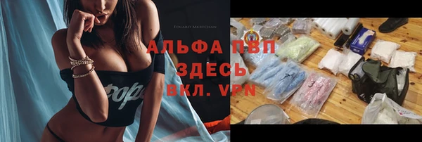 прущие крисы Каменногорск
